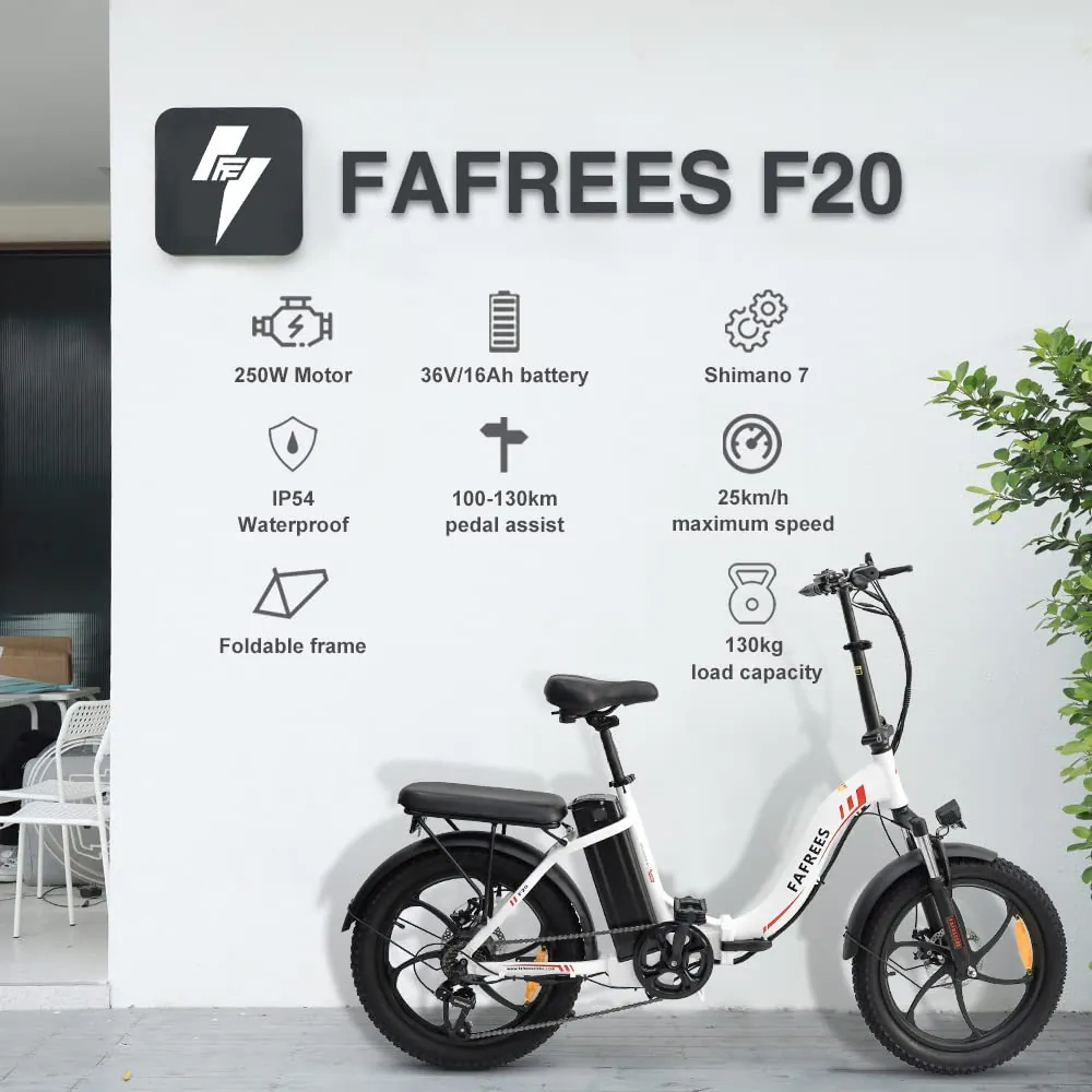 Fafrees F20 Fatbike (StVO) – photo 2