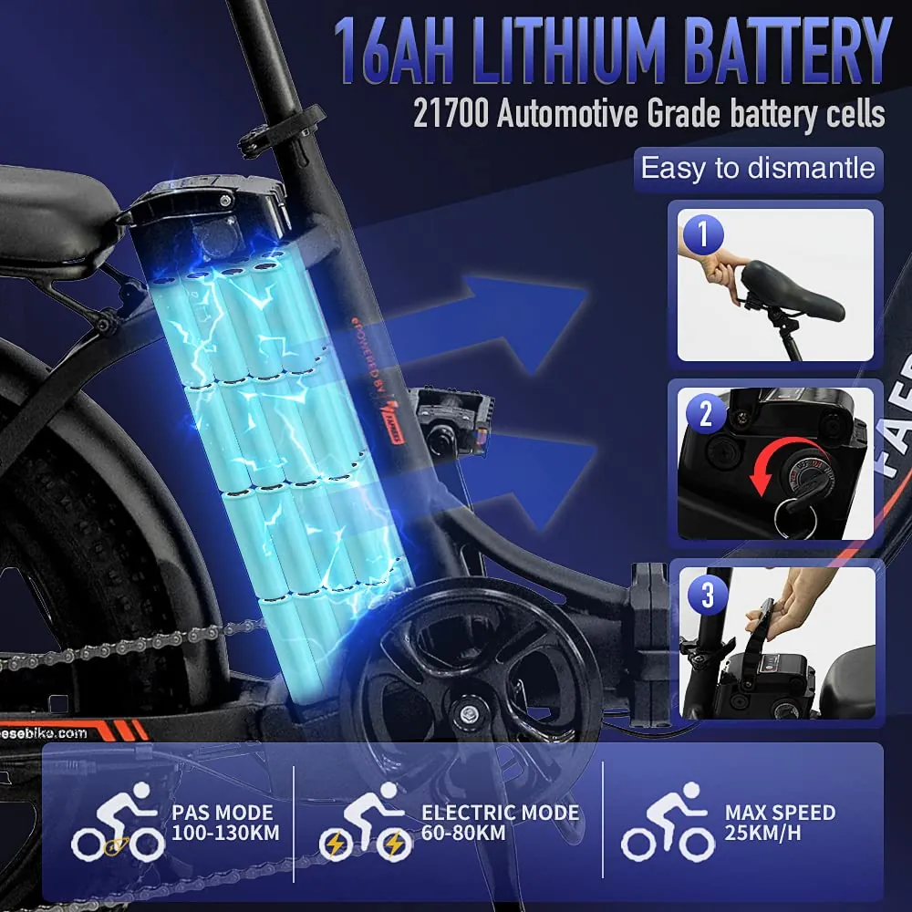 Fafrees F20 Fatbike (StVO) – photo 3